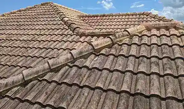 Roof cleaning soft wash on tile roof